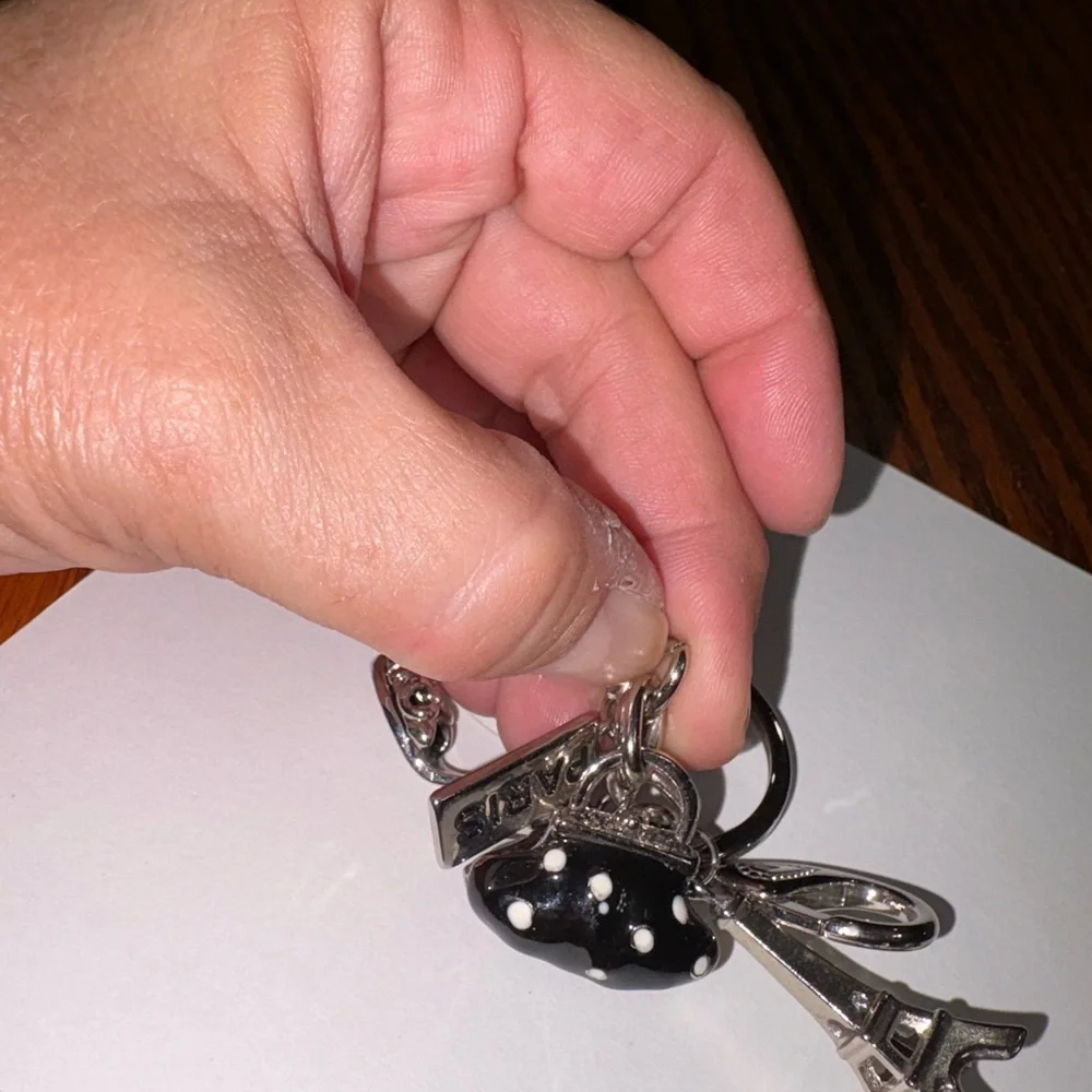 NWT PARIS THEMED SIVER AND BLACK KEY CHAIN WITH CHARMS FROM PARIS.